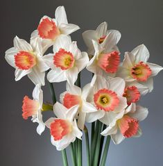 a vase filled with lots of white and orange flowers on top of a table next to a gray wall