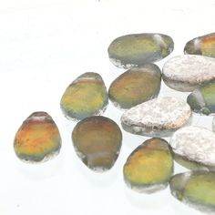 several pieces of fruit sitting next to each other on top of snow covered rocks and pebbles