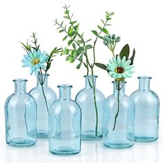 there are six glass vases with flowers in them