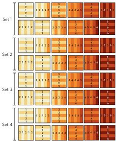 an orange and yellow pattern with numbers on it, including the number of rows in each row