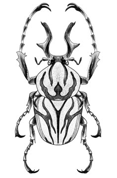 a black and white drawing of a bug with horns on it's back legs