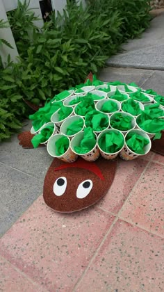 a turtle made out of cups sitting on the ground