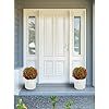 two potted plants sitting on the step of a front door with white doors and windows