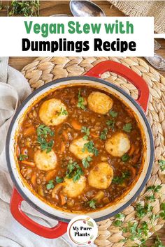 vegan stew with dumplings recipe in a red pot