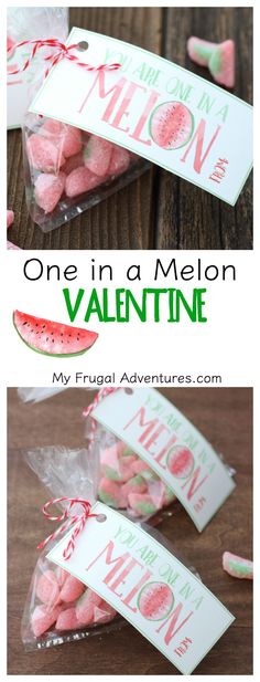 one in a melon valentine treat bag with watermelon