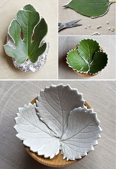 four pictures show different types of leaf shapes and their leaves are cut into smaller pieces