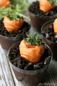 small pots filled with dirt and carrots on top of a wooden table