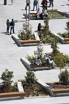 several people sitting on benches in the middle of a plaza with trees and flowers growing out of them