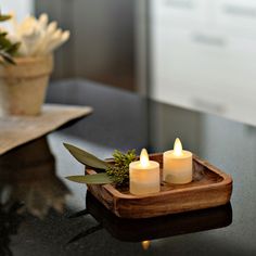 three lit candles sitting on top of a wooden tray next to a potted plant