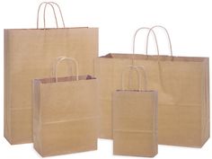 three brown paper bags with handles on white background