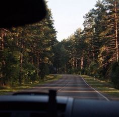 a car driving down a road next to tall trees