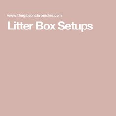 the words litter box setups are in white letters on a pale pink background, with an