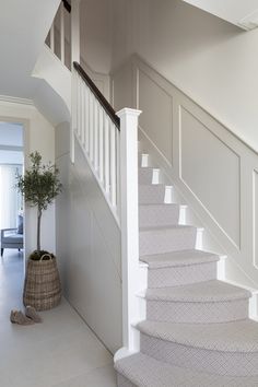 there is a plant on the floor next to some stairs in this house with white walls and carpet