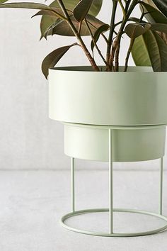 a potted plant is sitting on a stand