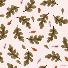 an illustration of leaves and acorns on a white background