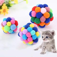 three different colored balls are shown next to a kitten's paw and flower arrangement