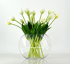 white tulips in a clear glass vase on a reflective surface, with reflection