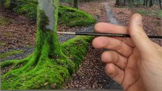 a hand holding a pen in front of a moss covered forest