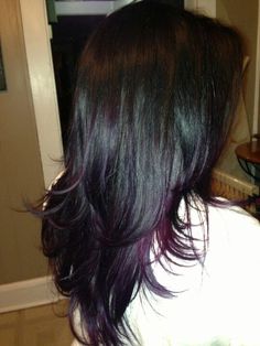 Purple Ends On Black Hair, Ombre Purple Hair, Black Hair With Purple, Black And Purple Hair, Purple Hair Streaks, Purple Black Hair, Purple Brown Hair, Purple Hair Highlights, Skunk Hair