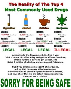 Medical cannabis vs. most commonly used drugs... It should be legalized, at the very least for it's medicinal value and studied more... Sweet Surrender, Big Brain, Endocannabinoid System, Witch Stuff, Seed Bank, Cbd Hemp