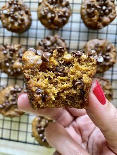 a hand holding up a chocolate chip cookie in front of other cookies on a cooling rack