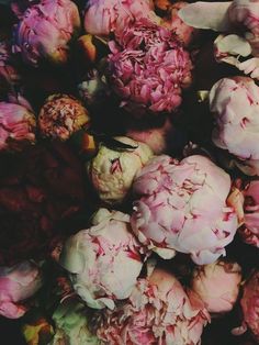 a pile of pink cauliflowers sitting next to each other