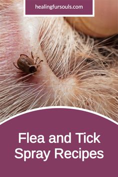 the flea and tick spray recipe is shown