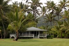 a white house surrounded by palm trees on a lush green field with mountains in the background