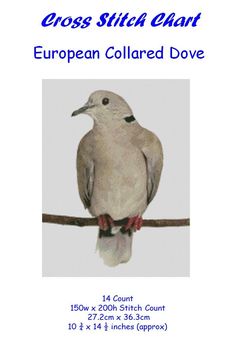 the cross stitch chart for european collared dove