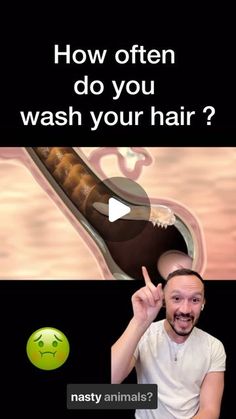 Carlos Atila on Instagram: "How often you wash your hair ????" Hair Repair, Hair Makeup, Repair, Makeup, On Instagram, Make Up