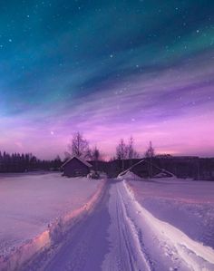 the night sky is lit up over a snowy field with houses and trees in the distance