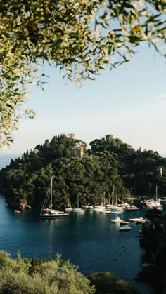 an island with many boats in the water and trees around it on a sunny day