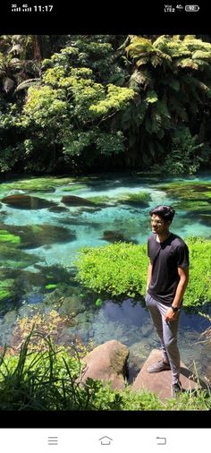 a man standing on top of a rock next to a river filled with green plants