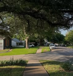 a street with houses and trees in the background