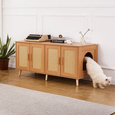 a cat hiding in a wooden cabinet next to a potted plant on the floor