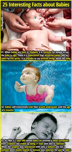 an advertisement for babies in the water, with two pictures of them being fed by their parents