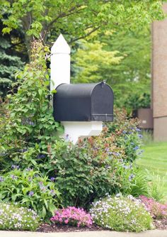 a mailbox sitting in the middle of a garden