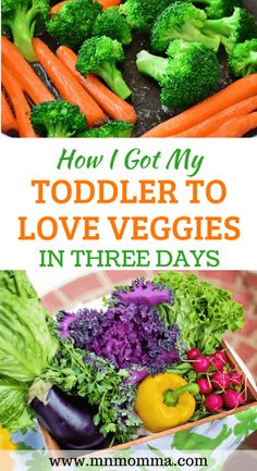 the cover of how i got my toddler to love veggies in three days