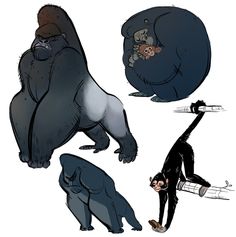 three gorillas with different postures and body shapes