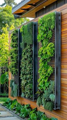 an outdoor garden with green plants growing on the side of a wooden wall and metal planters