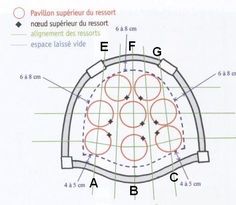 the diagram shows an arrangement of circles and letters