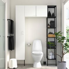 a white toilet sitting in a bathroom next to a plant