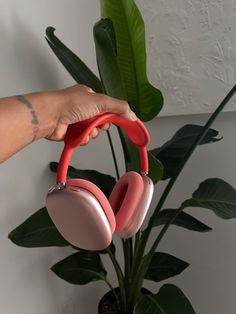 a person is holding up pink headphones in front of a potted green plant