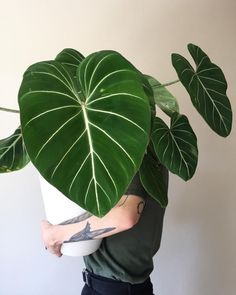 a person holding a large green plant in their arms with tattoos on it's arm