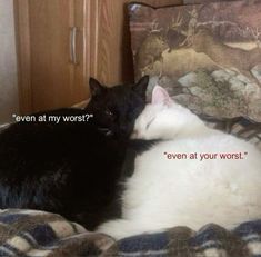 two black and white cats laying on top of a bed with the caption even at my worst