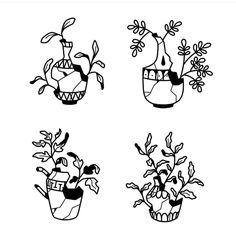 four potted plants are drawn in black and white