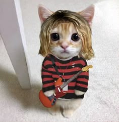 a cat wearing a sweater and holding a guitar in it's paws, with long blonde hair