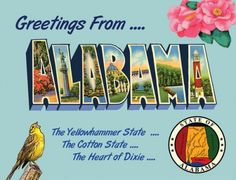 greetings from alabama the yellowhammer state, the cotton state and the heart of dixie