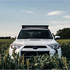 a white car parked in the middle of a corn field