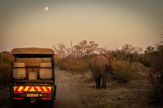 an elephant walking down a dirt road next to a truck with luggage on the back